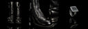 Guidi Allure Absolue