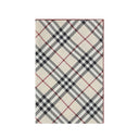 Silk Scarf