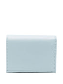 Valentino Garavani Wallets Clear Blue