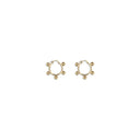 EARRINGS 1338