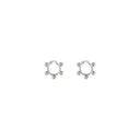 EARRINGS 1338
