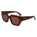 Brown Acetate Sunglasses